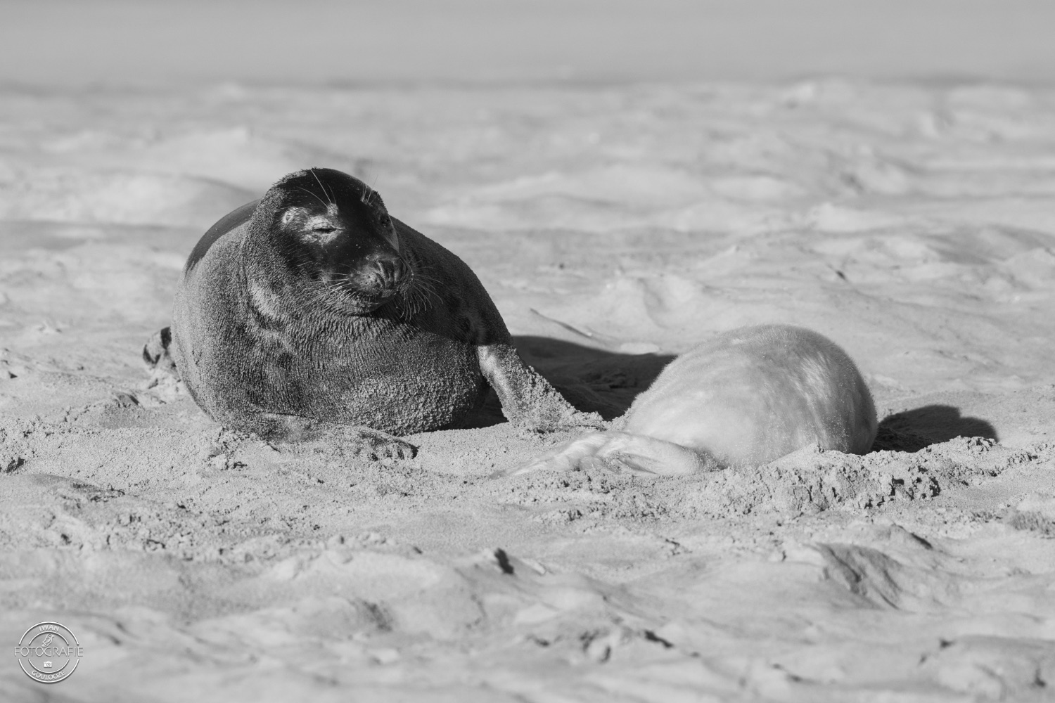 08 januari 2023 144411 1R2A1910